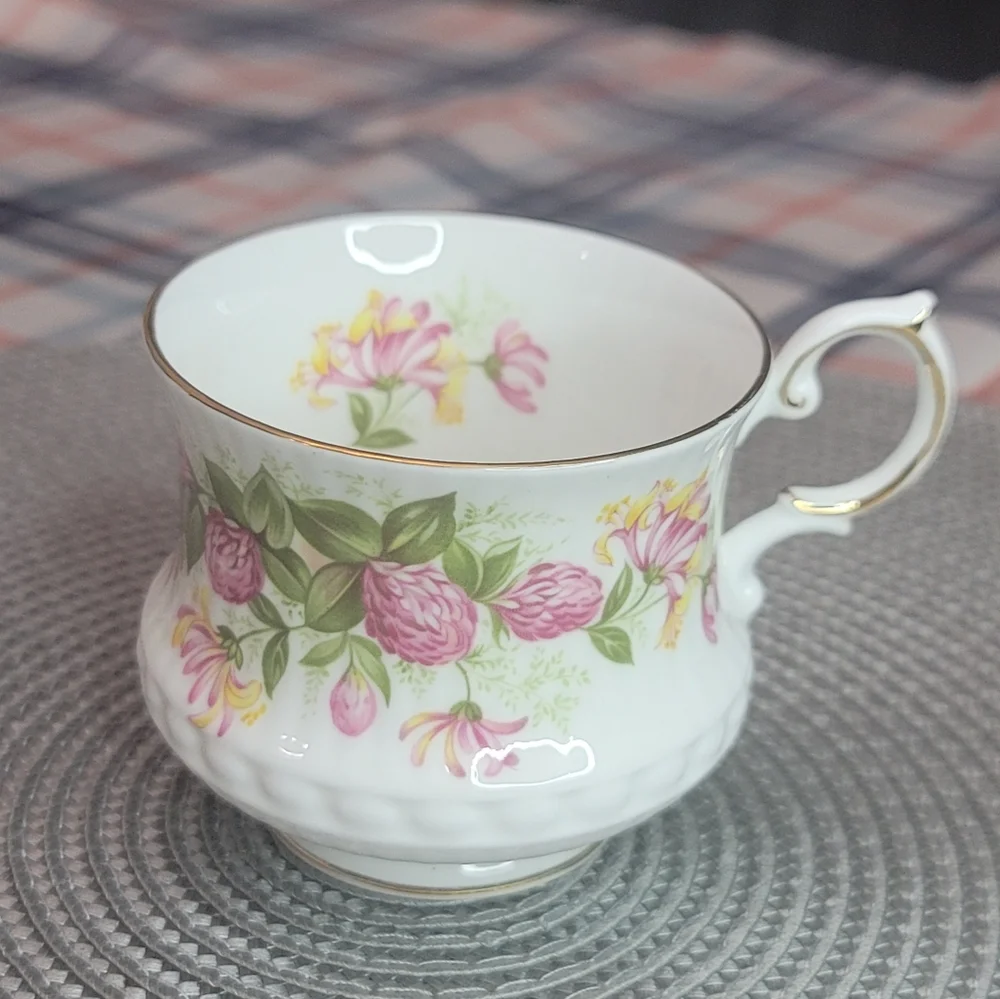 Vintage ROSINA English Cup - Picture 1 of 9